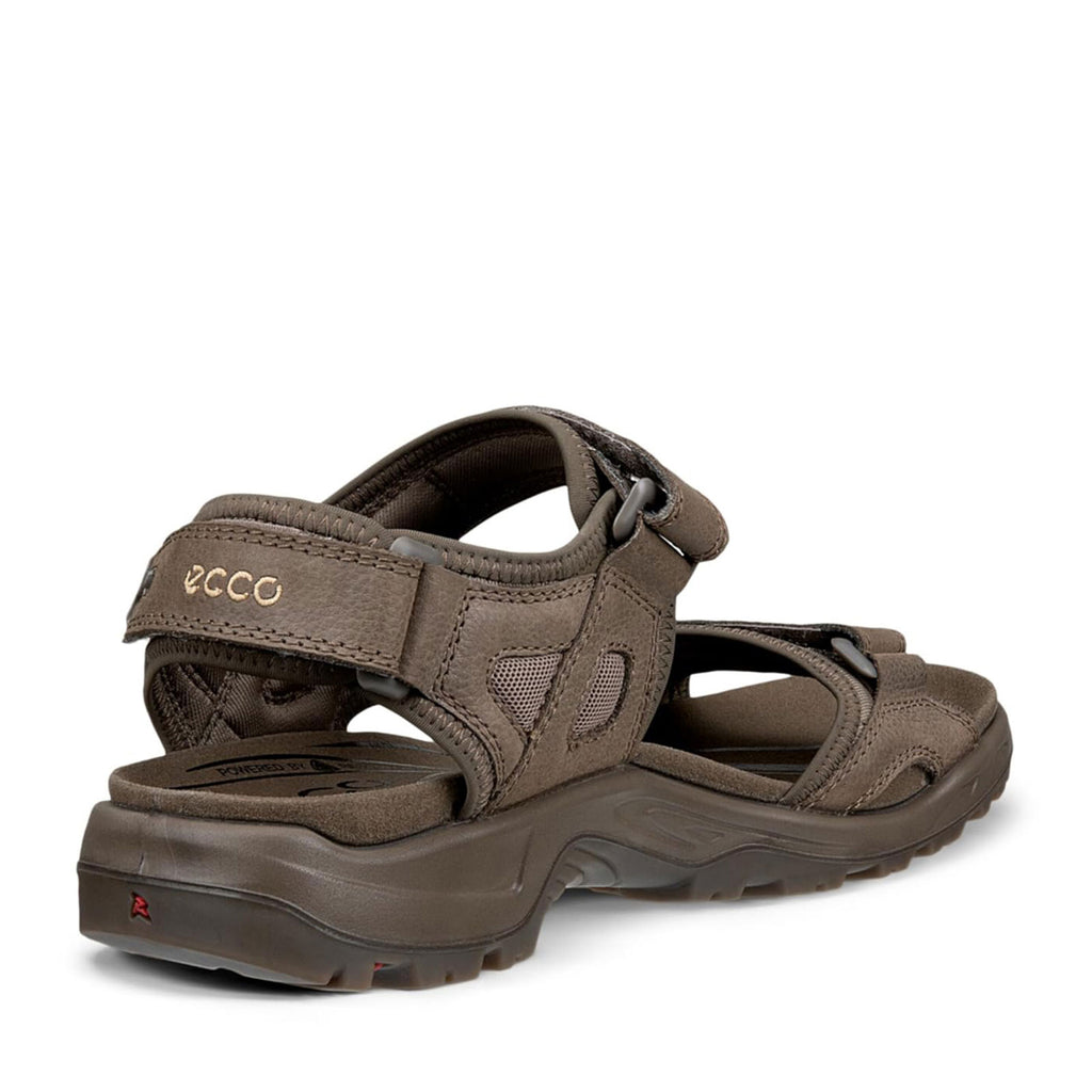 Men's Ecco Yucatan Sandal DARK CLAY 069564-12559