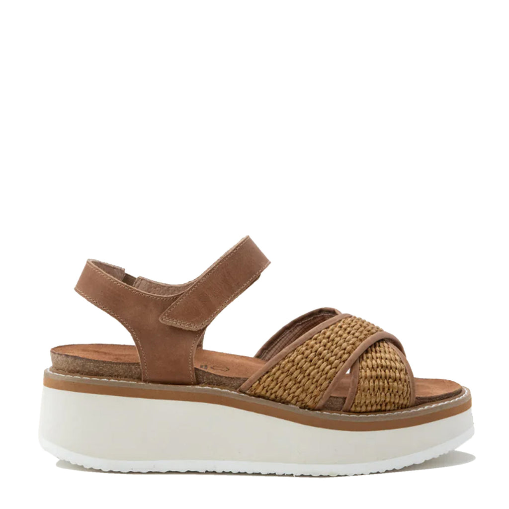 Women's Naot Pavlova Sandal LATTE BROWN 124205-SAL