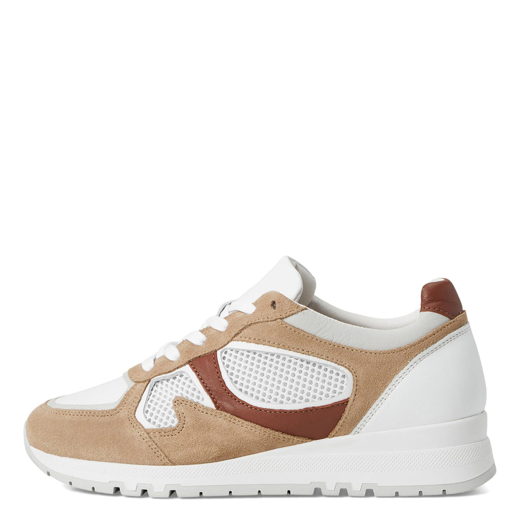 Women's Naot Collins Sneaker IVORY / BROWN 182103-WWO