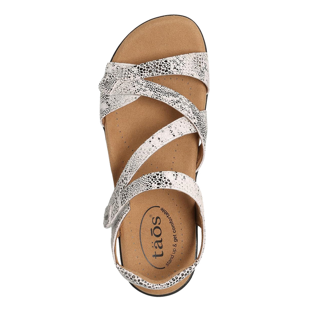 Women's Taos Big Time Sandal GREY SNAKE PRINT BGT-14132-GYSK