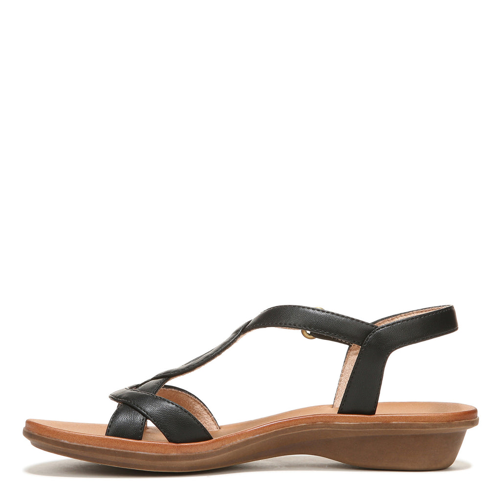 Women's SOUL Naturalizer Solo Sandal BLACK I5975S2001