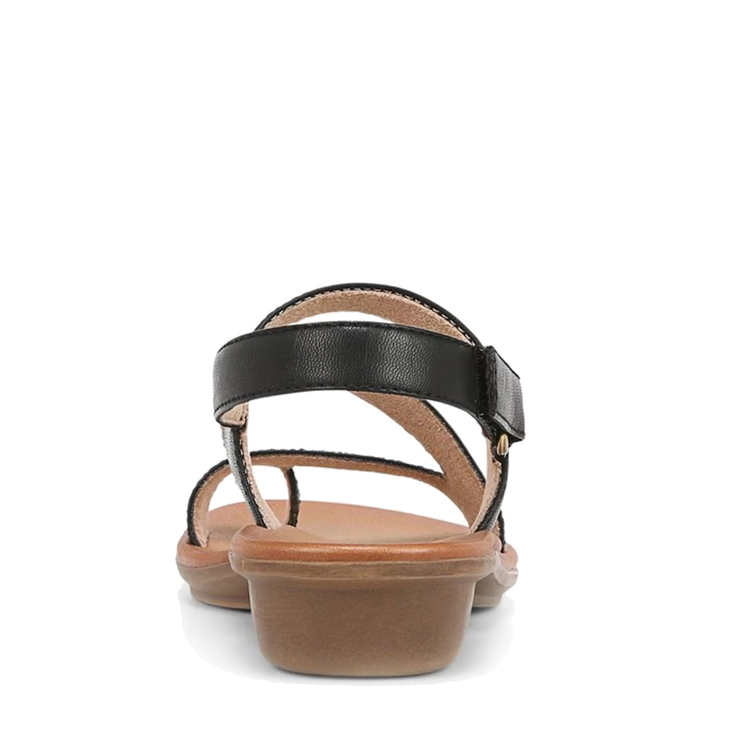 Women's SOUL Naturalizer Shakina Sandal BLACK J2166S2001