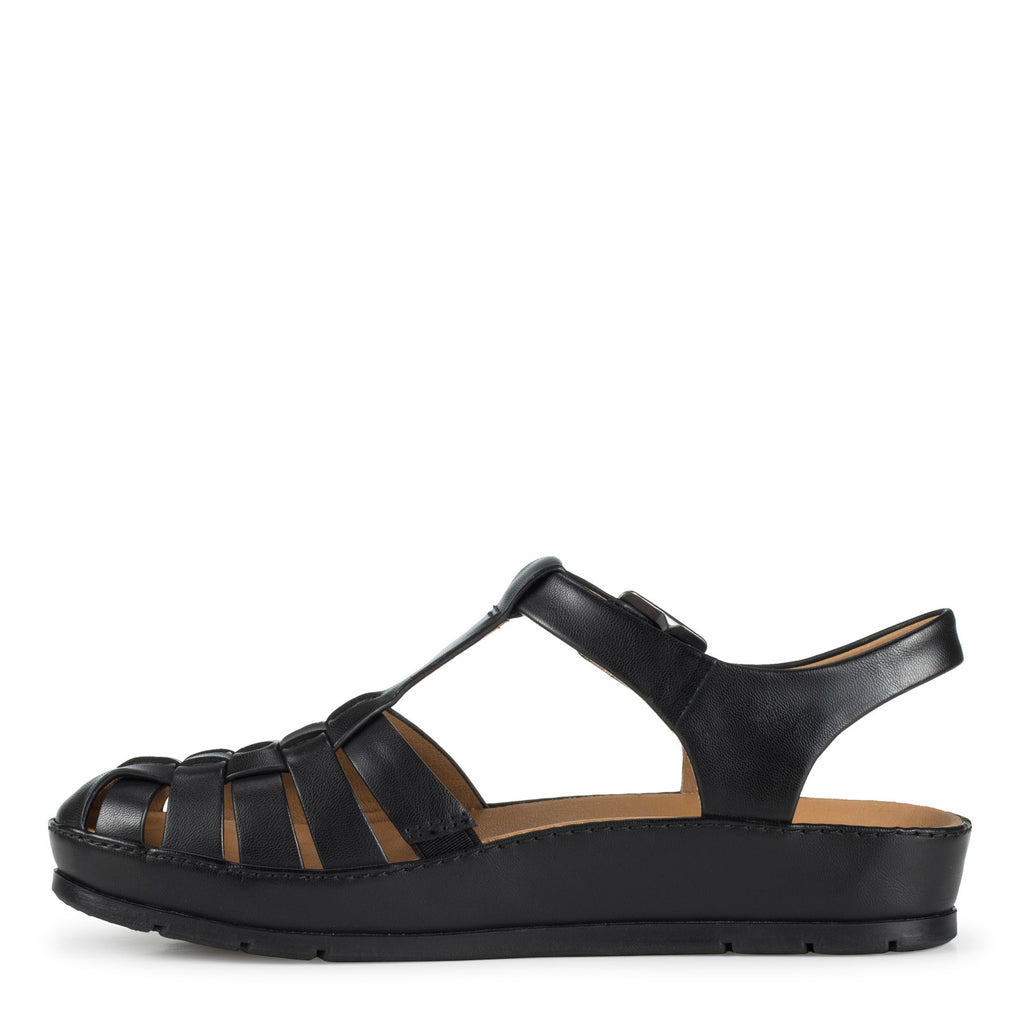Women's Baretraps Welsy Sandal BLACK WELSY BLACK